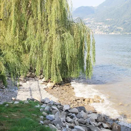 In Einer Am See *